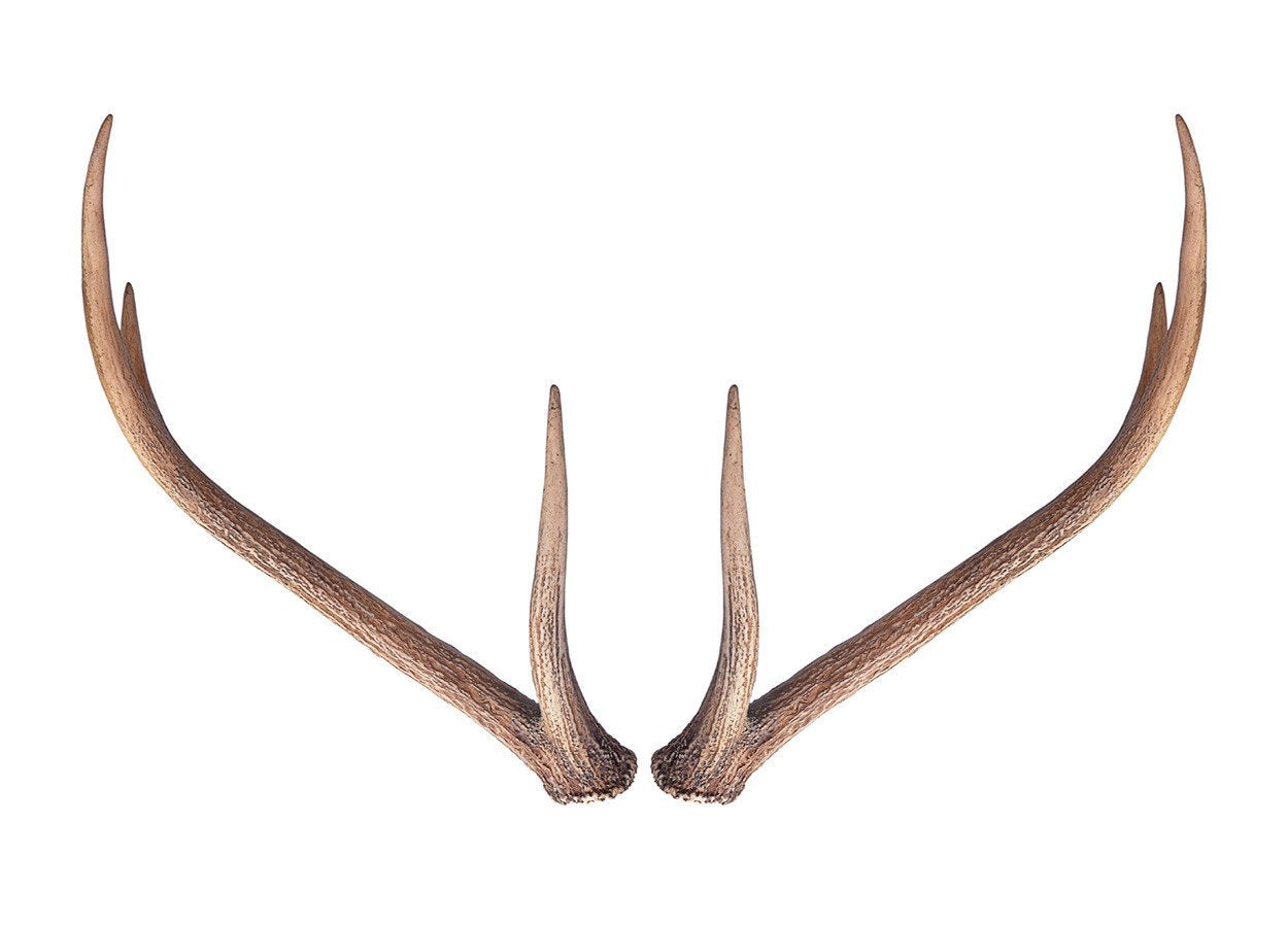 Wall Antlers