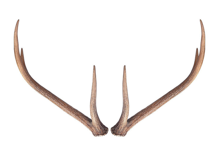 Wall Antlers