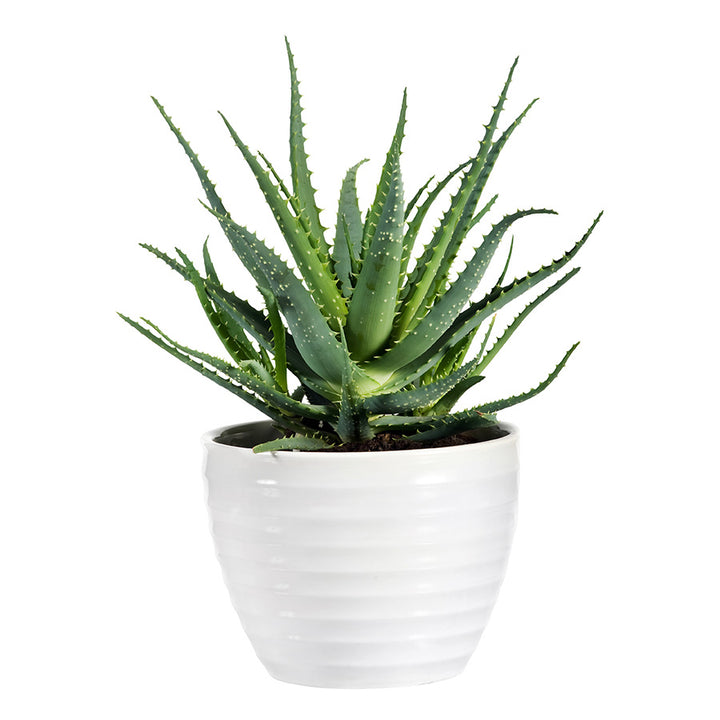 Round Ribbed Planter