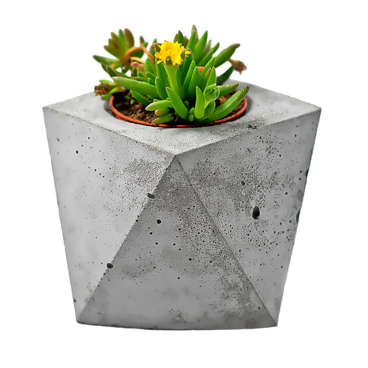 Edgy Concrete Planter